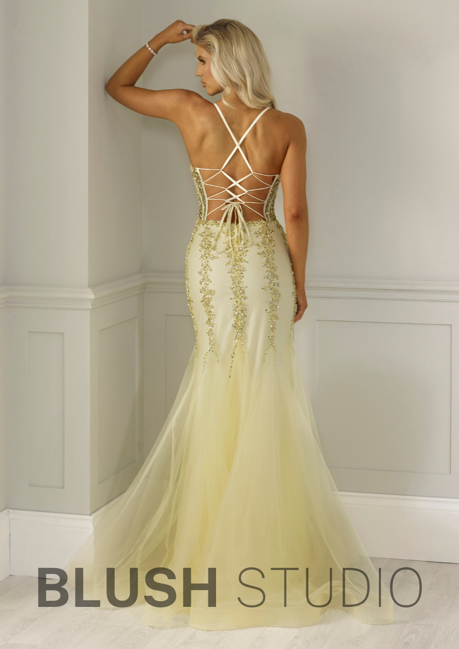 The Bianca Dress