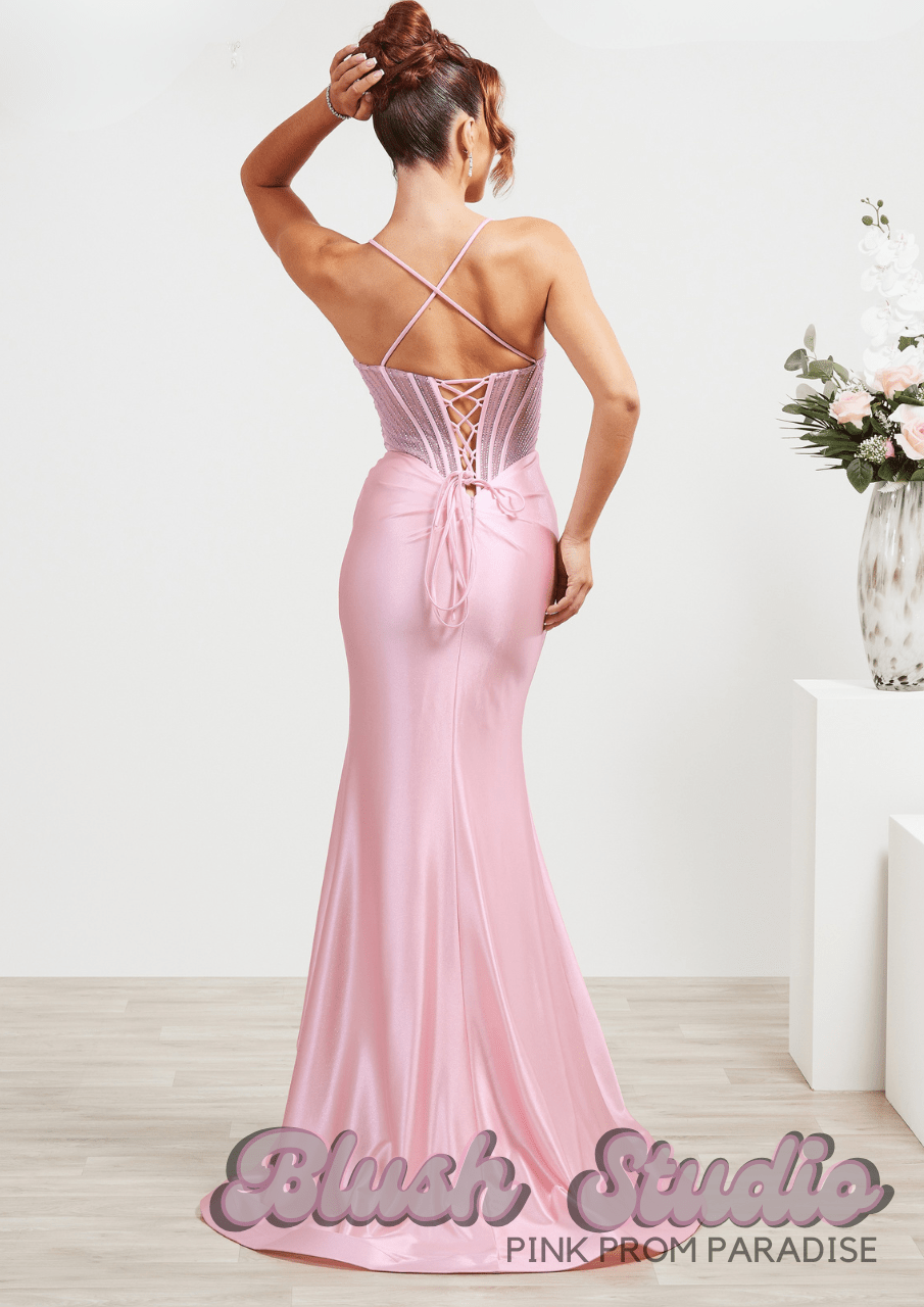 Teddi - Blush Studio