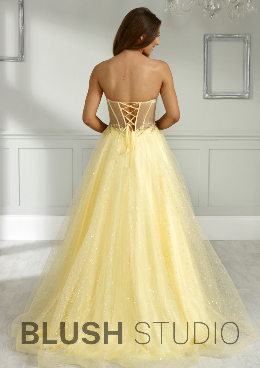 The Cinders Dress