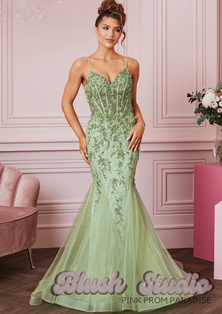 Hilton - Blush Studio