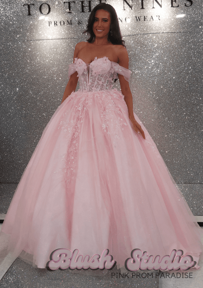 Holly - Blush Studio