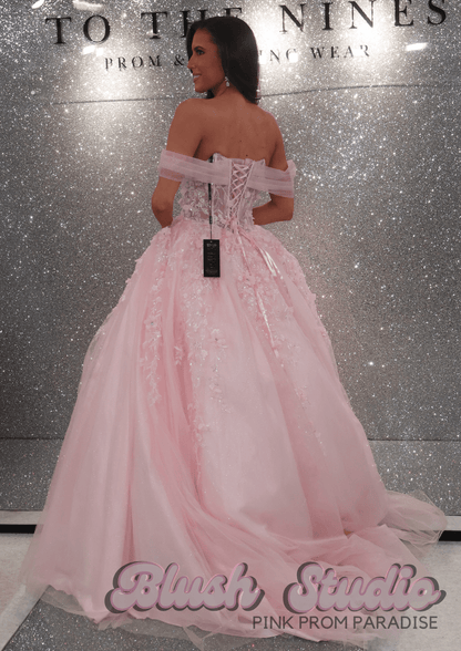 Holly - Blush Studio