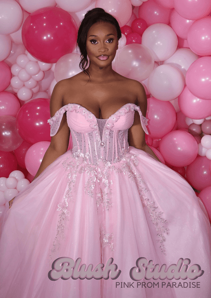 Venezuela - Blush Studio